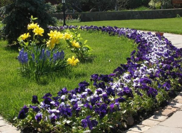 Цветочный бордюр Цветочный бордюр